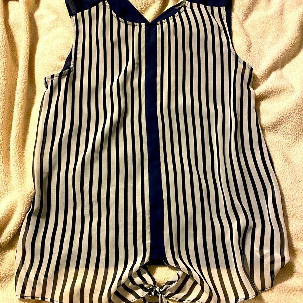 Sheer Navy Striped Blouse